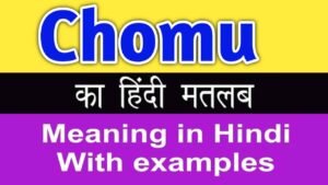 Chomu Meaning In Hindi 